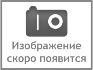 Плунжерная пара (плунжер) Ø=7мм (XZ7I45) Плунжерная пара (плунжер) Ø=7мм (XZ7I45)