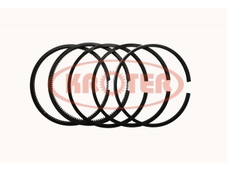Купить Кольца поршневые S195 (5 колец)