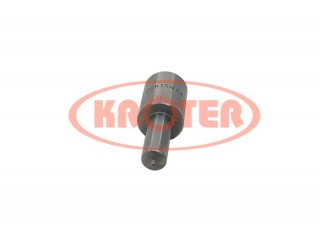 Купить Распылитель форсунки ZCK154S428